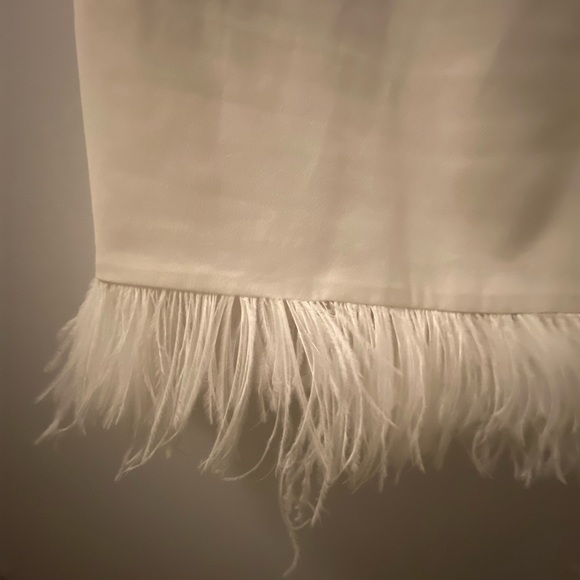 Feather Dress - Picture 5 of 6